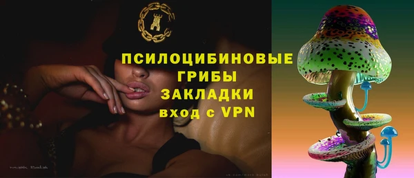 спиды Алзамай